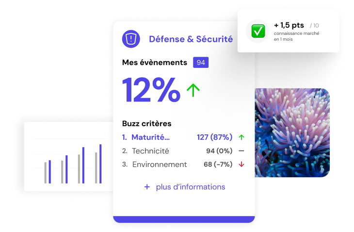 Wireframe of the plateform